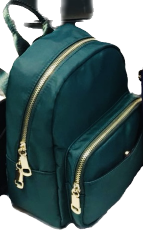 Backpacks- 60618